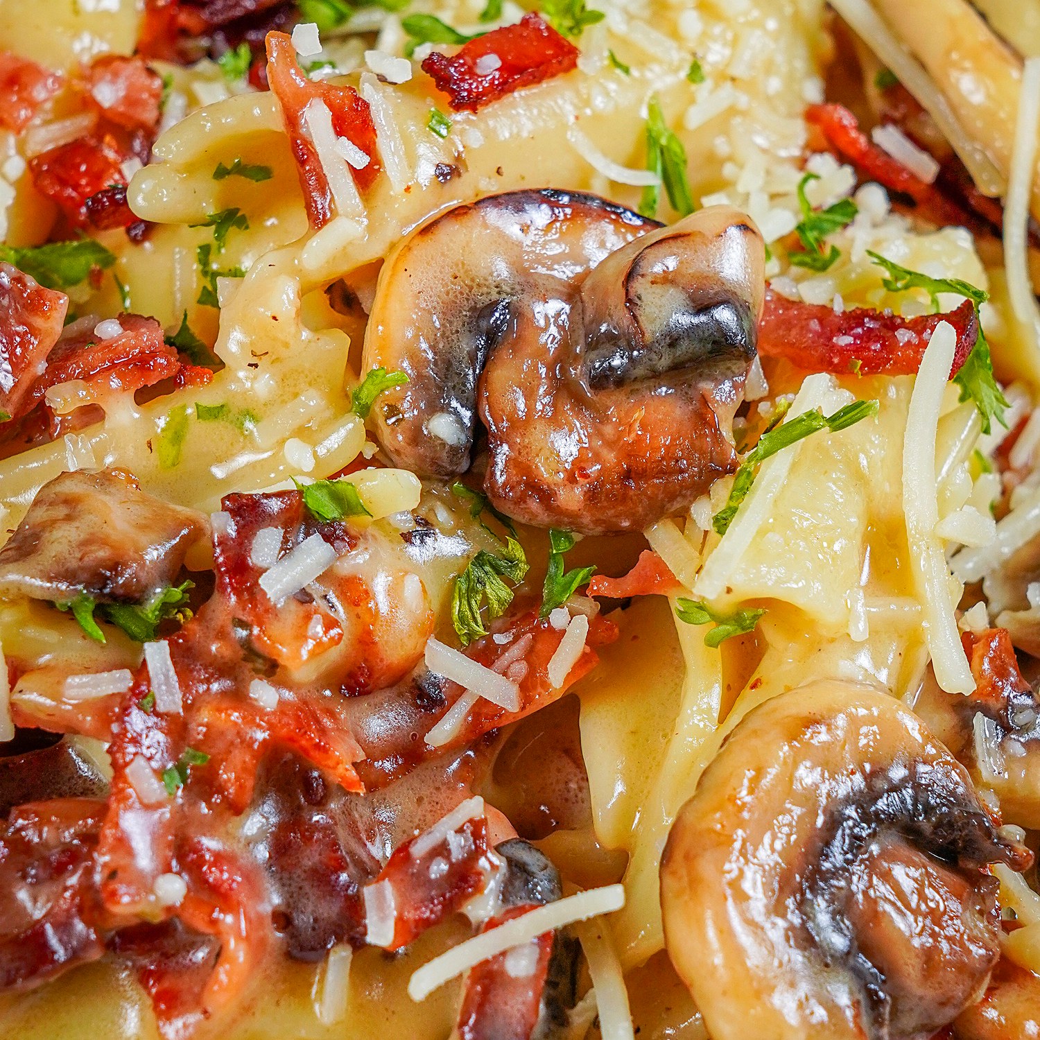 Funghi Porcini